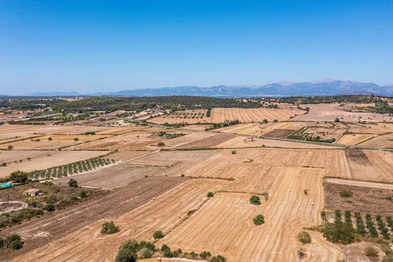 Sineu – Großzügige Finca auf Grundstück mit 16.830 m2 — photo 10