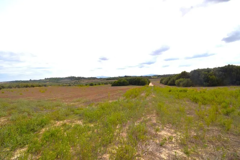 Land in Muro, Province of Balearic Islands — photo 9