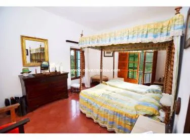 finca in Maria de la Salut — photo 7