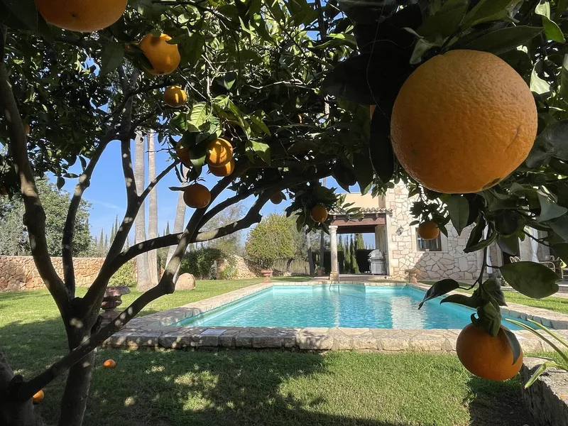 Impressive finca with holiday rental license near Llucmajor — photo 2
