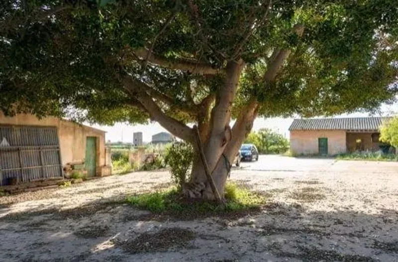 Rural or Farmhouse in Palma de Mallorca, Province of Balearic Islands — photo 2