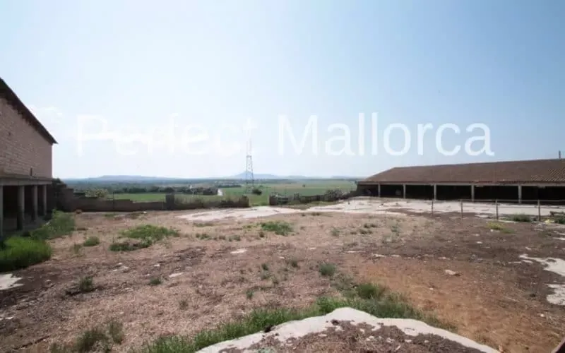 Majorcan country estate near Villafranca de Bonany — photo 9