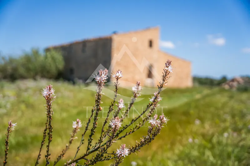 Old finca to renovate between Felanitx and Vilafranca — photo 12