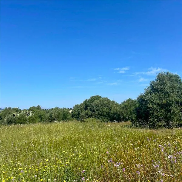 Exclusive property of approx. 15,155 m², suitable for building — photo 3