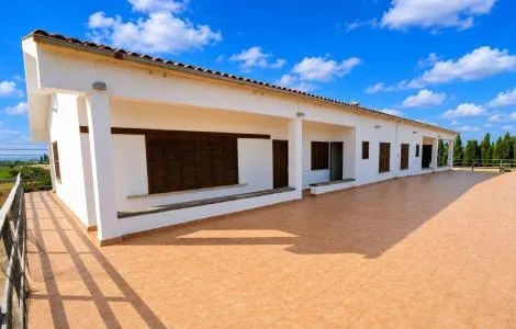 Rustic property - Inca (Binissalem), built surface 732m2, plot surface 14119m2, 3 bedrooms, 2... — photo 12