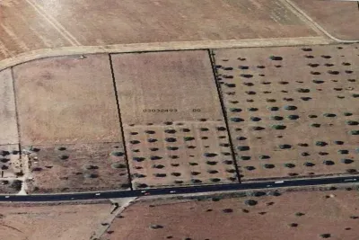 Rustic Land in Manacor 22169sqm — photo 1