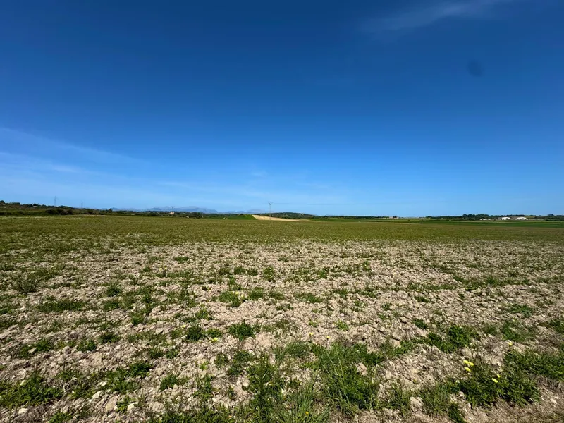 Exclusive Real Estate Opportunity in Petra Dream Plot with Endless Possibilities — photo 11