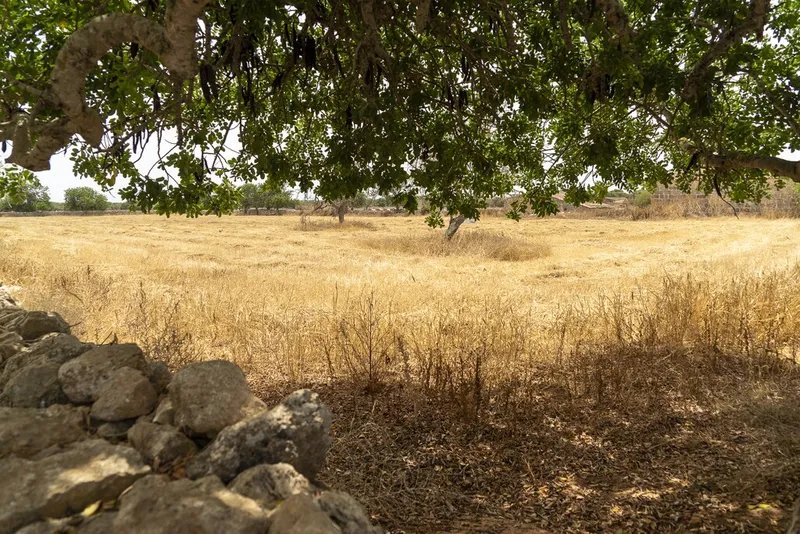 Top quality plot for sale in Santanyi with private pool and sea views — photo 5