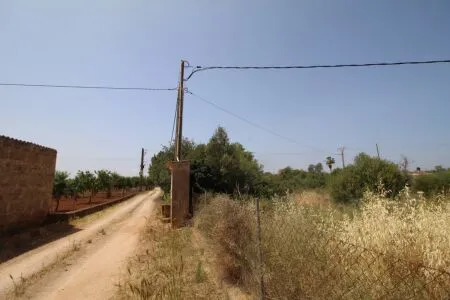 Rural Land - Llucmajor (Llucmajor (Campo)), Plot Surface 5965m² — photo 5