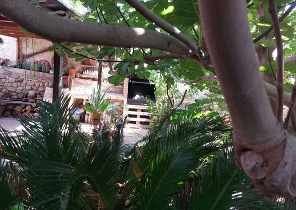Village house in Calle Major, Buger — photo 1