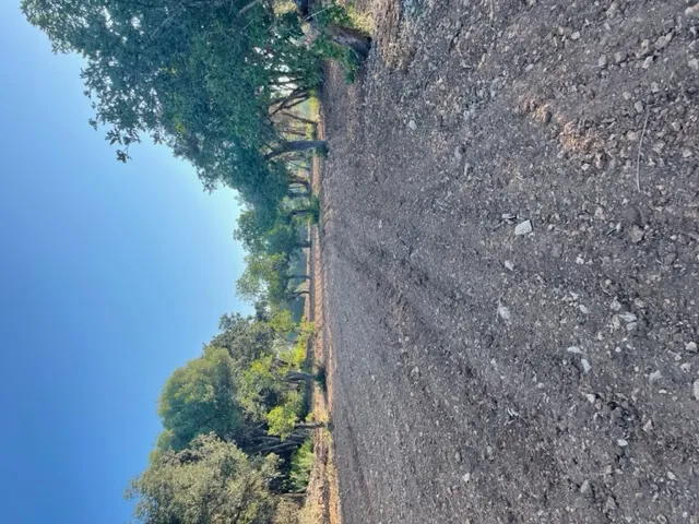 Plot with basic project to build a house — photo 6