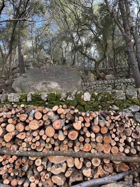 Rustic finca for sale in Selva with unbeatable views of the Serra de Tramuntana mountains — photo 4