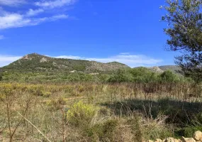 Rustic Plot with License – Es Galdent — photo 3