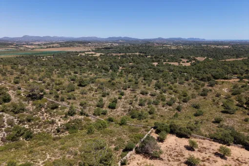 Cala Mandia, Unique plot with spectacular sea views and building project in Manacor — photo 11