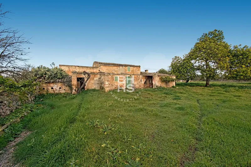 Rustic Finca for sale in María de la Salut — photo 4