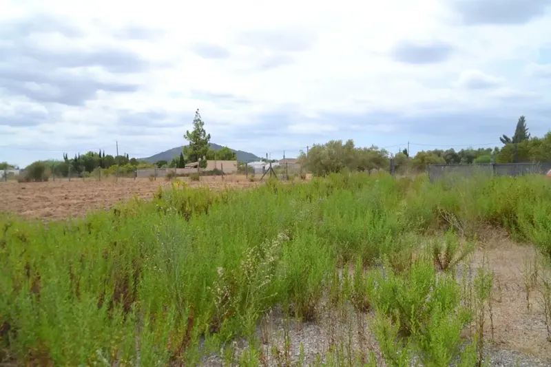 In Campanet, finca of about 14,270 m2 of land, completely fenced, with several water wells, town water and Gesa electricity. Views to — photo 1