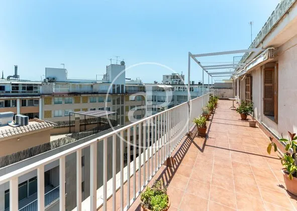 Penthouse in Calle de Sant Miquel, La Missio - Mercat, Palma de Mallorca — photo 3