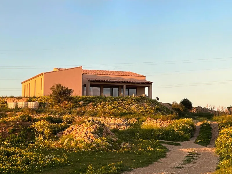 Finca new construction in Llucmajor — photo 2
