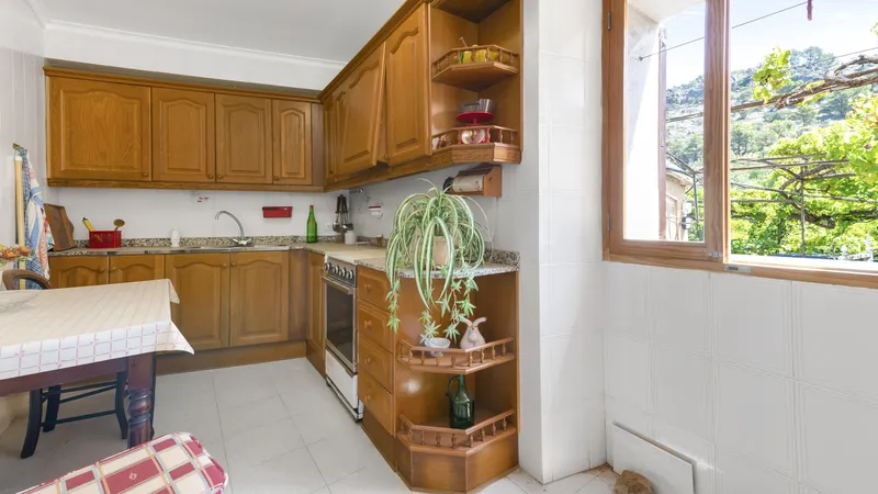 Investment! Finca on large plot with fruit trees and a lot of potential in Soller — photo 11