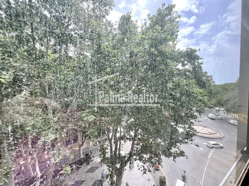 Office for sale in Palma of 125 m2 — photo 6
