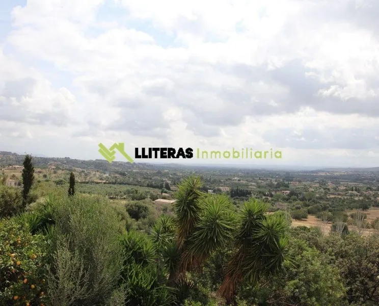 Luxury home in Selva, Province of Balearic Islands — photo 3