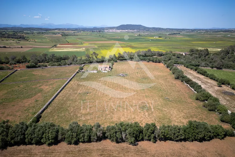 Old finca to renovate between Felanitx and Vilafranca — photo 9