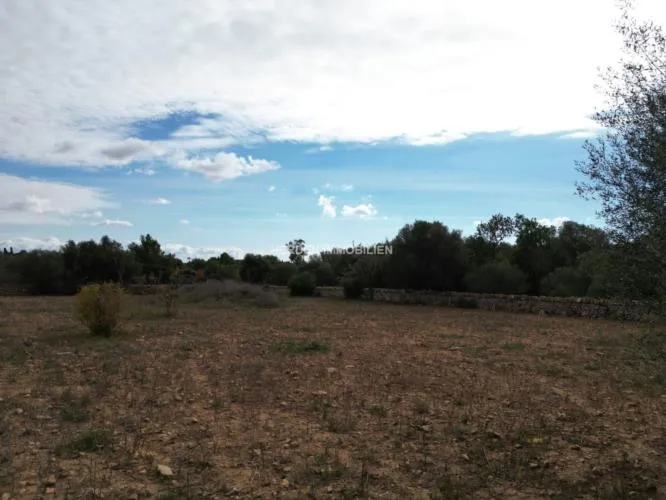 Building Plot for Sale in Llucmajor — photo 8