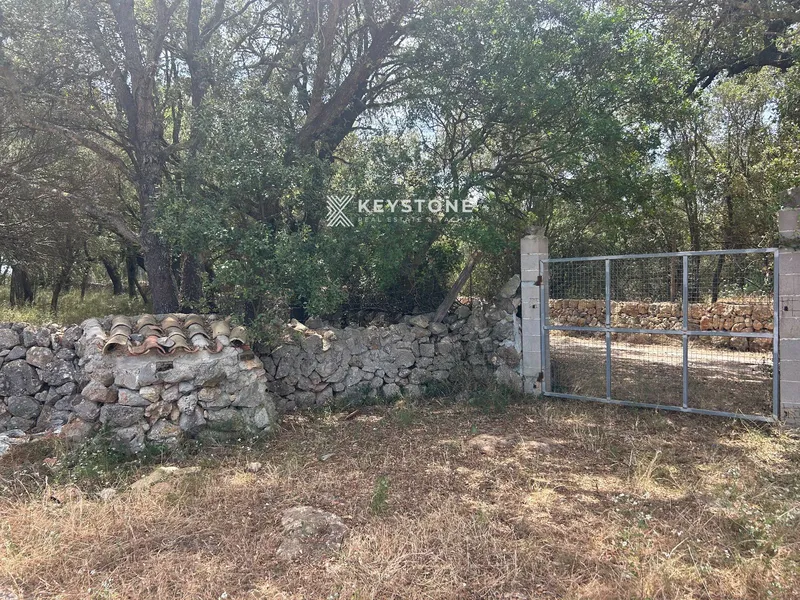 Plot — photo 11
