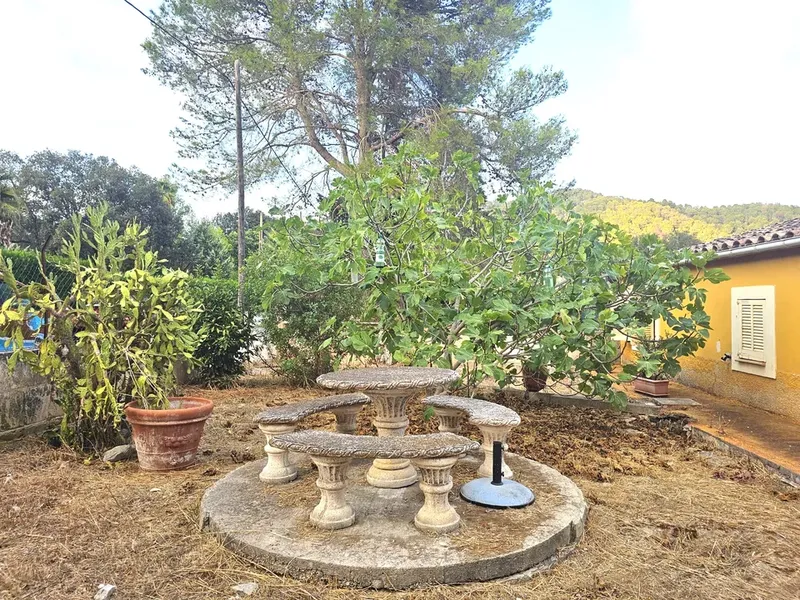 Finca in Sa Pobla, Mallorca — photo 1