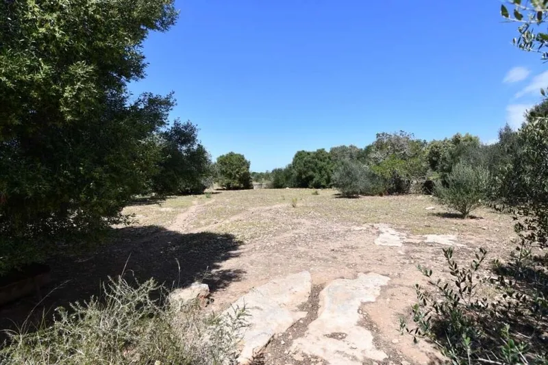 Interesting plot located just 2.5 km from Santanyi — photo 2
