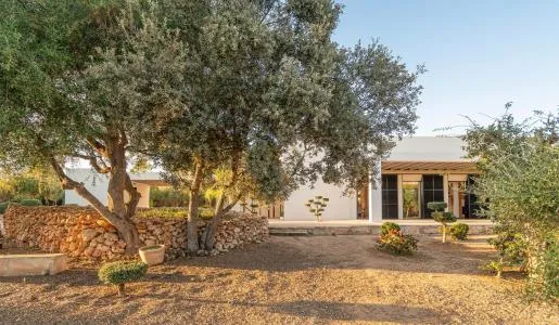 Country House - Porreres — photo 6