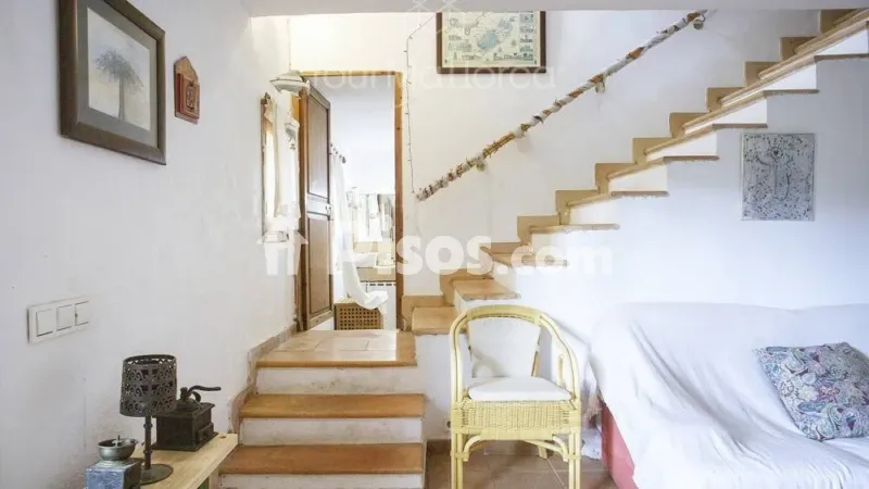 Rustic house in Manacor — photo 2