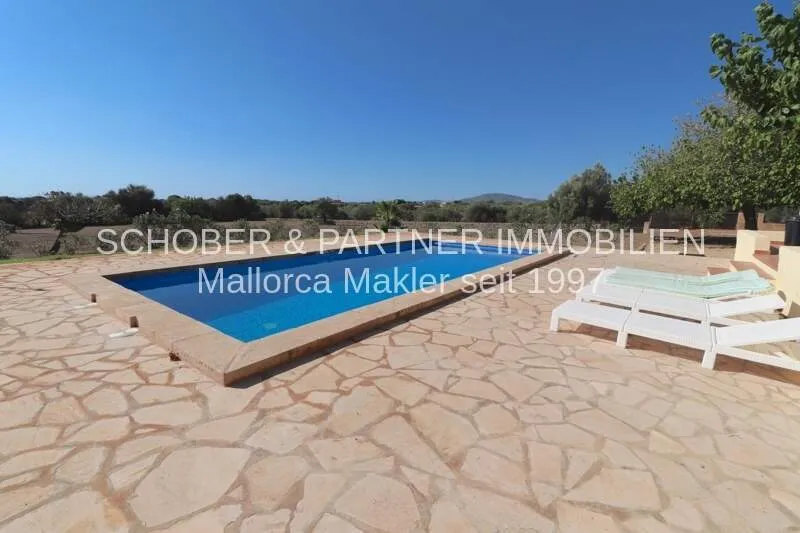 Finca mit 5 Zimmern, Pool, Meerblick & ETV Lizenz zu kaufen — photo 4