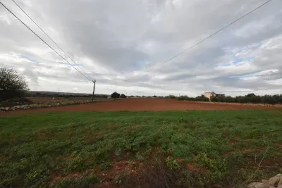 Land in Manacor — photo 7