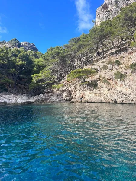Boat charter company in Alcudia — photo 3
