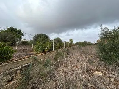 Building Site - Marratxí (Pòrtol), Plot Surface 1131m² — photo 4