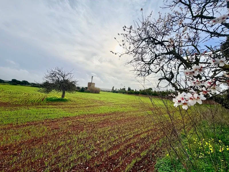 Rustic Finca — photo 1