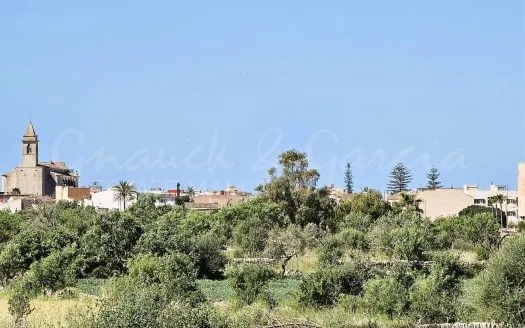 plot in Santanyi — photo 1