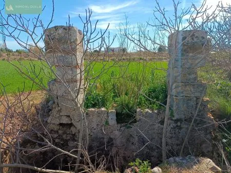 Rural Land - Sa Pobla, Built Surface 9m², Plot Surface 9055m² — photo 2