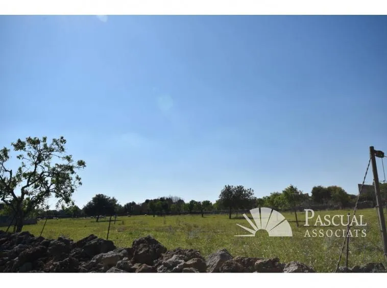 Finca with sea views and approved project in Santa Margalida — photo 12