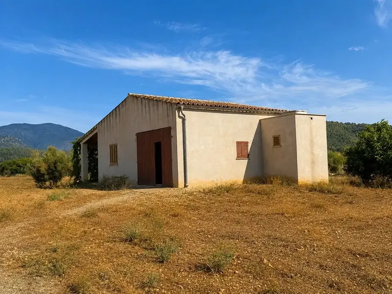 Agricultural estate near Campanet in a privileged natural setting — photo 9