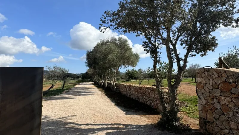 Rustic finca in Cas Concos — photo 11