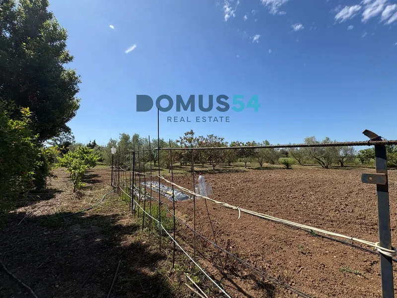 Unbuildable rural land with a shed in Sa Pobla — photo 10
