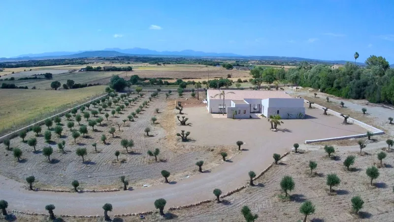 New-build villa with infinity pool and 222 olive trees – near Rafa Nadal Academy — photo 1