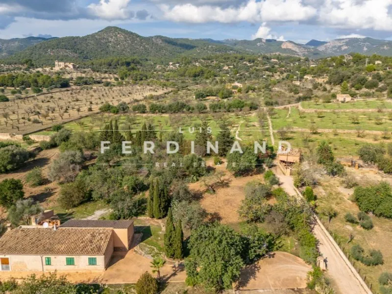 Luxury home in Santa Maria del Camí, Province of Balearic Islands — photo 9