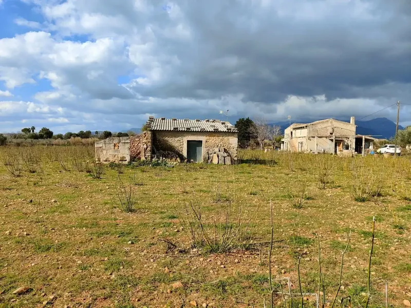 Excellent estate in Búger, to be fully renovated, with a main two-story house with fireplace. Porch with barbecue, a stone house for — photo 5
