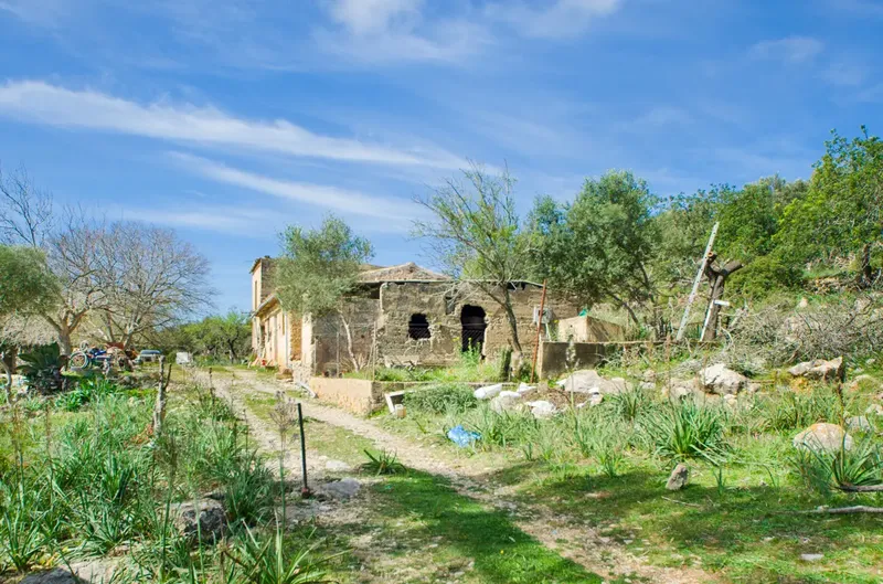 Finca to renovate in the hills before Artà — photo 6