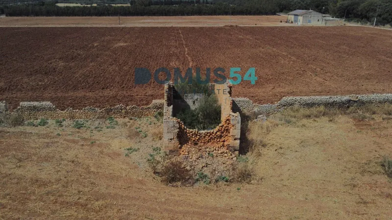 plot in Llubi — photo 11