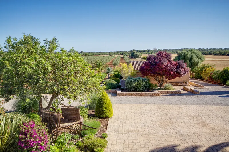 Charming agrotourism estate with pool and olive grove in Campos — photo 2