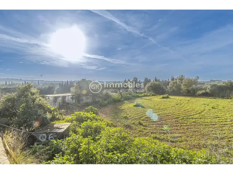 Rustic estate for sale of 14,186 m² with main agricultural use, located in a quiet and natural environment, less than 1 km from Muro, in direction — photo 3